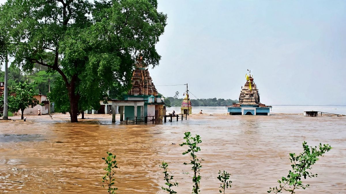 naidunia_image